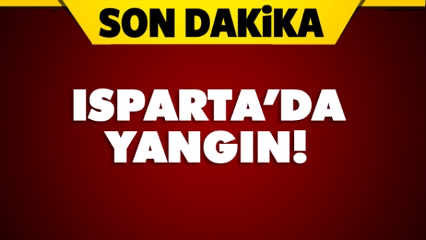 Isparta'da Korkutan Yangın! Yer Bağlar Mahallesi