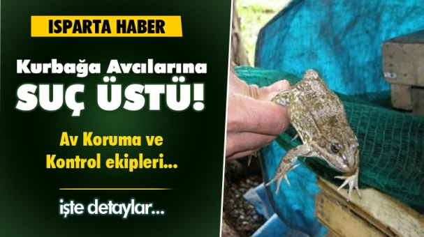 Isparta Son Dakika! İzinsiz Kurbağa Avına Geçti Yok