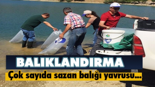 Isparta'da Balıklandırma Çalışmaları Devam Ediyor