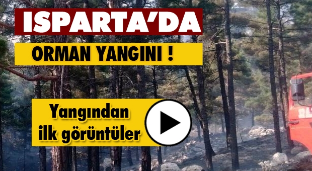 Isparta Haber:Sütçüler Kesmede Orman Yangını!