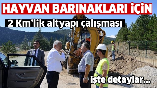 ISPARTA'DA HAYVAN BARINAĞI İÇİN 2 KM’LİK ALTYAPI ÇALIŞMASI