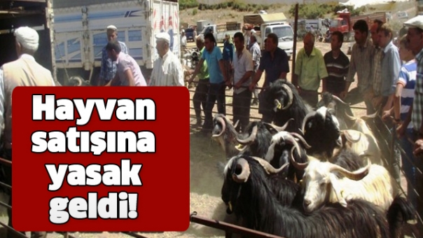 800 Yıllık Tarihi Pazarda Hayvan Satışına Yasak Geldi!