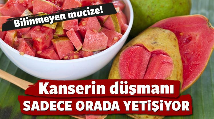 Kanserin Düşmanı Sadece O İlde Üretiliyor!