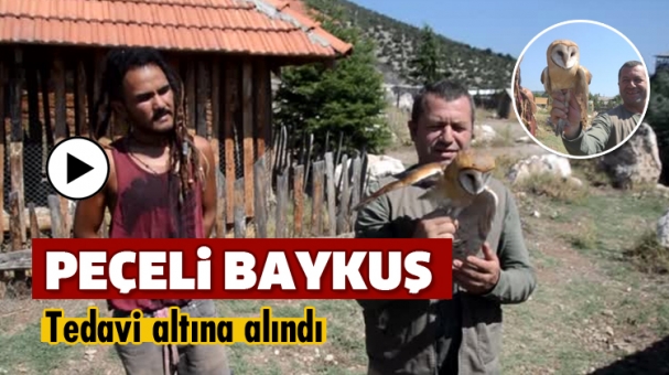 Peçeli Baykuş Tedavi Altına Alındı