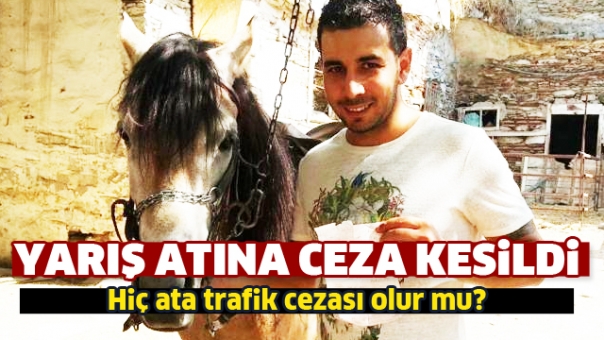Yarış Atına Trafik Cezası Kesildi!