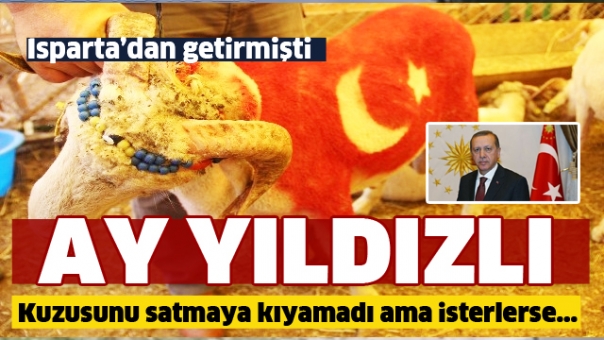 Isparta'dan Getirmişti! Ay Yıldızlı Kuzusunu Satmaya Kıyamadı