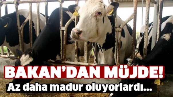 Satılmayan Kurbanlar İçin Bakan Müjdeyi Verdi!