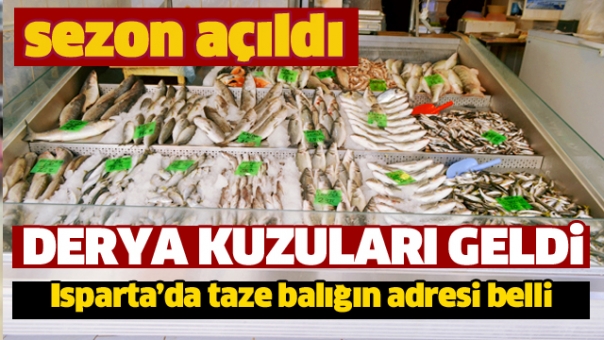 Isparta'da Derya Kuzusu Balıklar Bu Adreste!