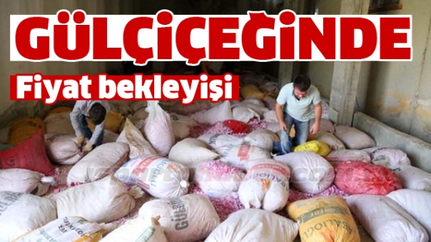  GÜL ÇİÇEĞİNDE FİYAT BEKLEYİŞİ SÜRÜYOR