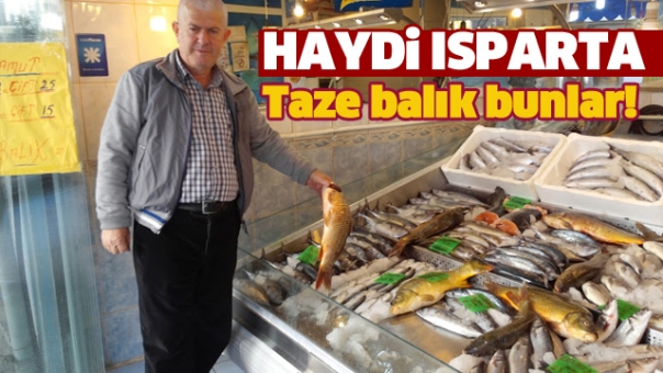 HAYDİ ISPARTA TAZE BALIKLAR GELDİ