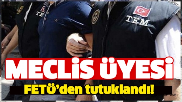 Meclis üyesi FETÖ’den tutuklandı