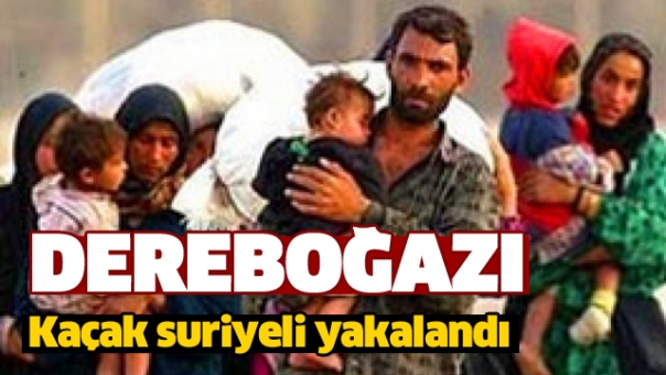 Dereboğazı yolunda 105 kaçak Suriyeli yakalandı