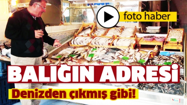 Isparta'da Balık Denizden Sonra Bu Tezgahlarda