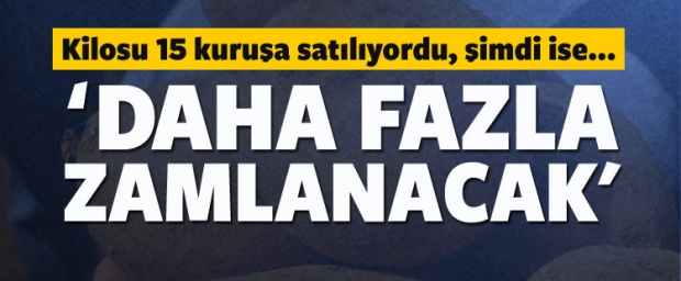 15 kuruşa satılıyordu! Şimdi ise...