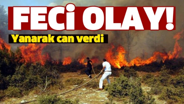 Isparta'da Feci Olay! Yanarak Can Verdi