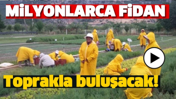 Isparta'da Milyonlarca Fidan Toprakla Buluşacak