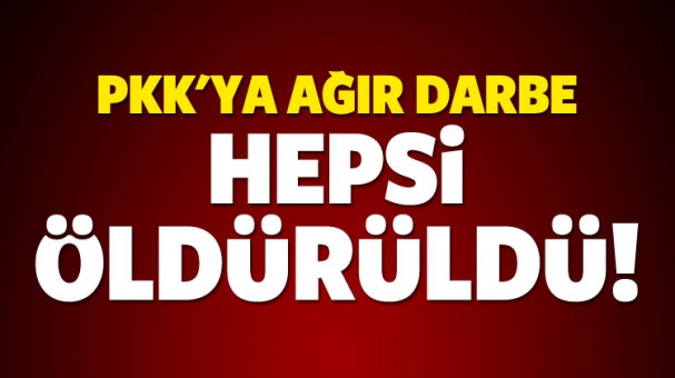 PKK'ya ağır darbe: Hepsi öldürüldü!
