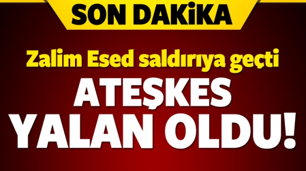 Zalim Esed saldırıya geçti!