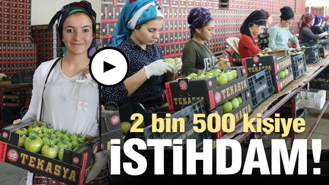 2 bin nüfuslu köyde 2 bin 500 kişiye istihdam sağlanıyor