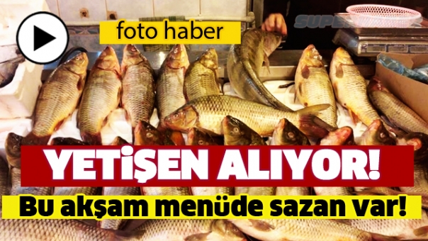 ISPARTA'DA SAZAN BALIKLARI BU ADRESTE ACELE EDİN!