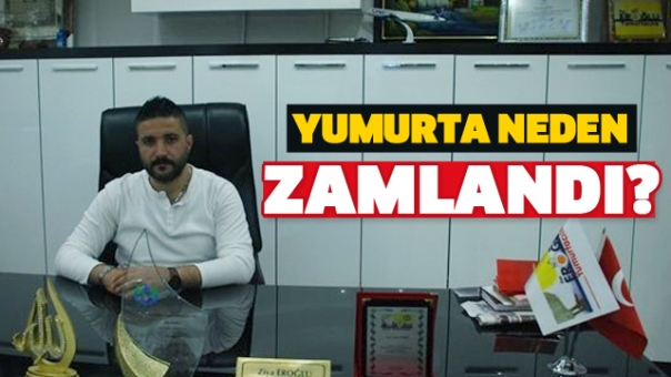 YUMURTA NEDEN ZAMLANDI EROĞLU YUMURTACILIK AÇIKLADI