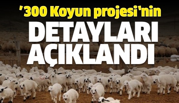 '300 koyun projesi'nin detaylarını açıkladı