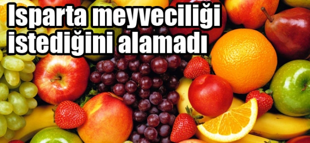 ISPARTA MEYVECİLİĞİ İSTEDİĞİNİ ALAMADI