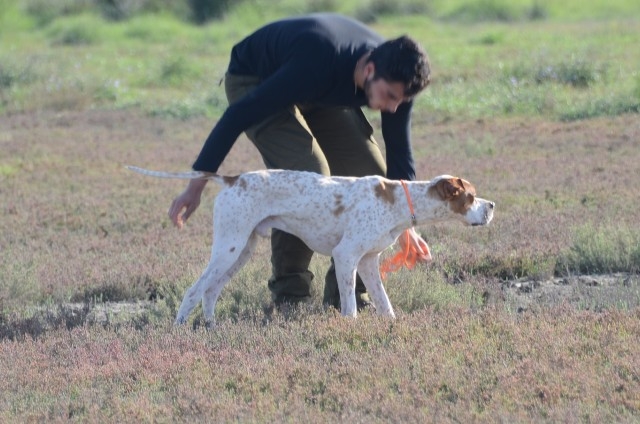 3. Fermalı Av Köpekleri Mera Yarışması