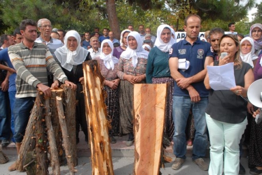 Bağsaraylılar ağaçların kesilmesini protesto etti