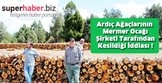 Ardıç Ağaçlarının Mermer Ocağı Şirketi Tarafından Kesildiği İddiası