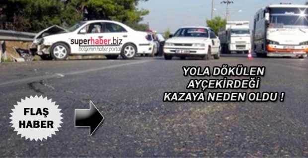 Yola Dökülen Ayçekirdeği Kazaya Neden Oldu