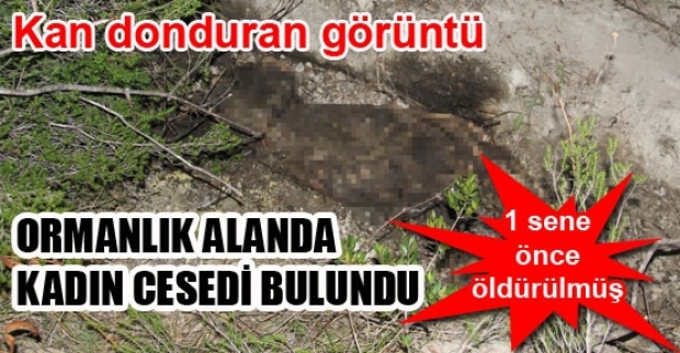 ORMANLIK ALANDA KADIN CESEDİ BULUNDU