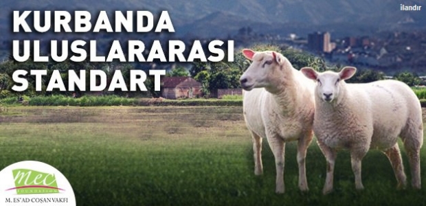 Kurbanda uluslararası standart…