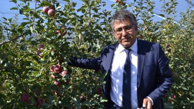 Çukurkuyu Elmada Söz Sahibi Oluyor