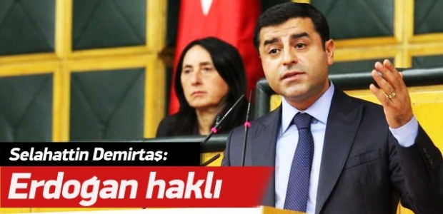 Demirtaş olayların sorumluluğunu üstlenmedi