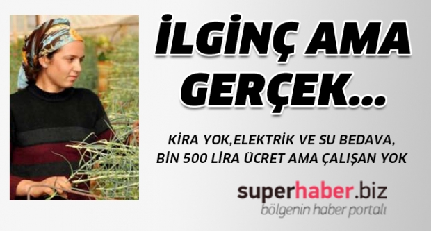 İlginç ama gerçek…