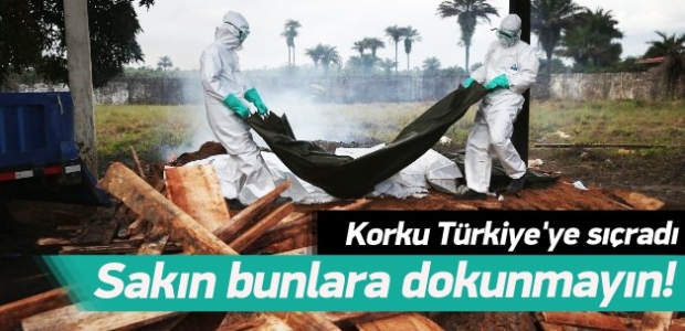 Bunlara dokunmayın ve yemeyin!