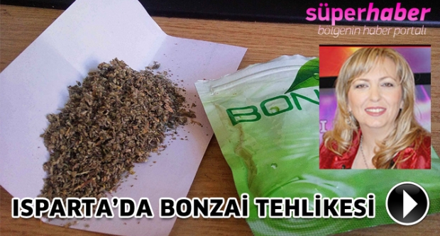 ISPARTA’DA BONZAİ TEHLİKESİ