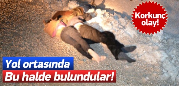 Van'da 3 kaçak donarak öldü