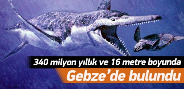 Gebze'de 340 milyon yıllık dinozor bulundu