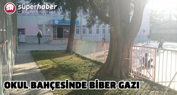 Biber gazının okulda ne isi var?