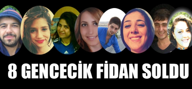 8 GENCECİK FİDAN SOLDU
