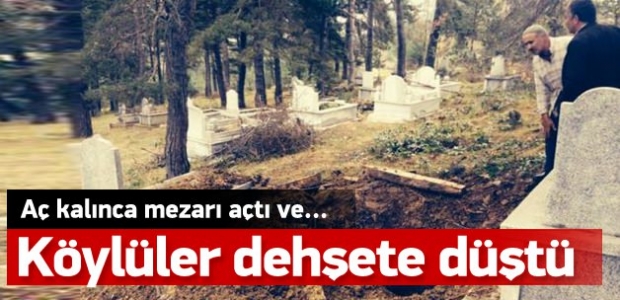 Aç kalan ayı mezar açıp ceset yedi