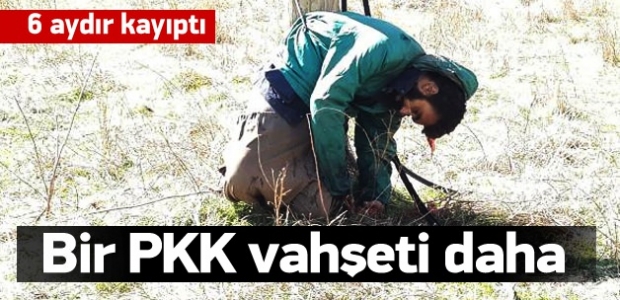 Direğe bağlayıp kurşuna dizdiler
