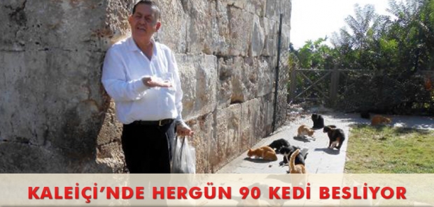 KALEİÇİ’NDE HERGÜN 90 KEDİ BESLİYOR