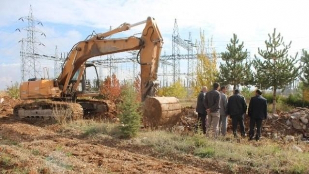 Beyşehir de Mahalle Sakinlerinden Ağaç Tepkisi