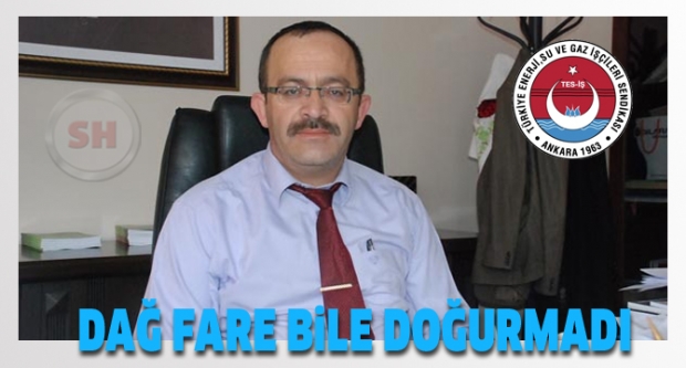 Dağ fare bile doğurmadı