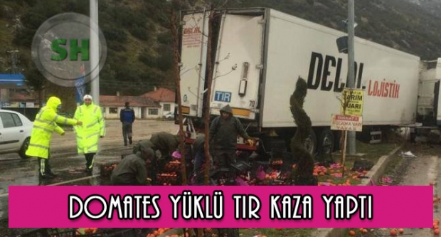DOMJATES YÜKLÜ TIR KAZA YAPTI