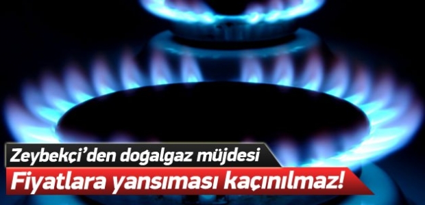 Zeybekçi: Fiyatlara yansıması kaçınılmaz