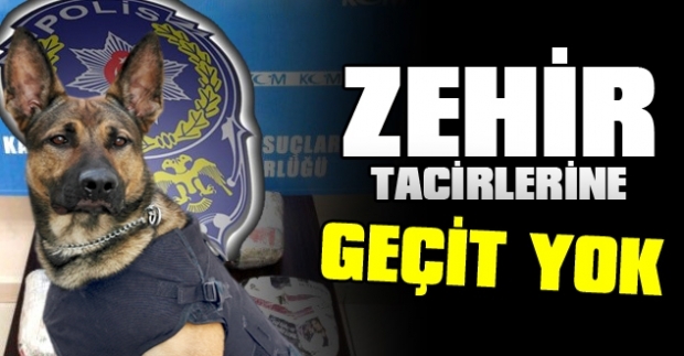 Zehir Tacirlerine Geçit Yok